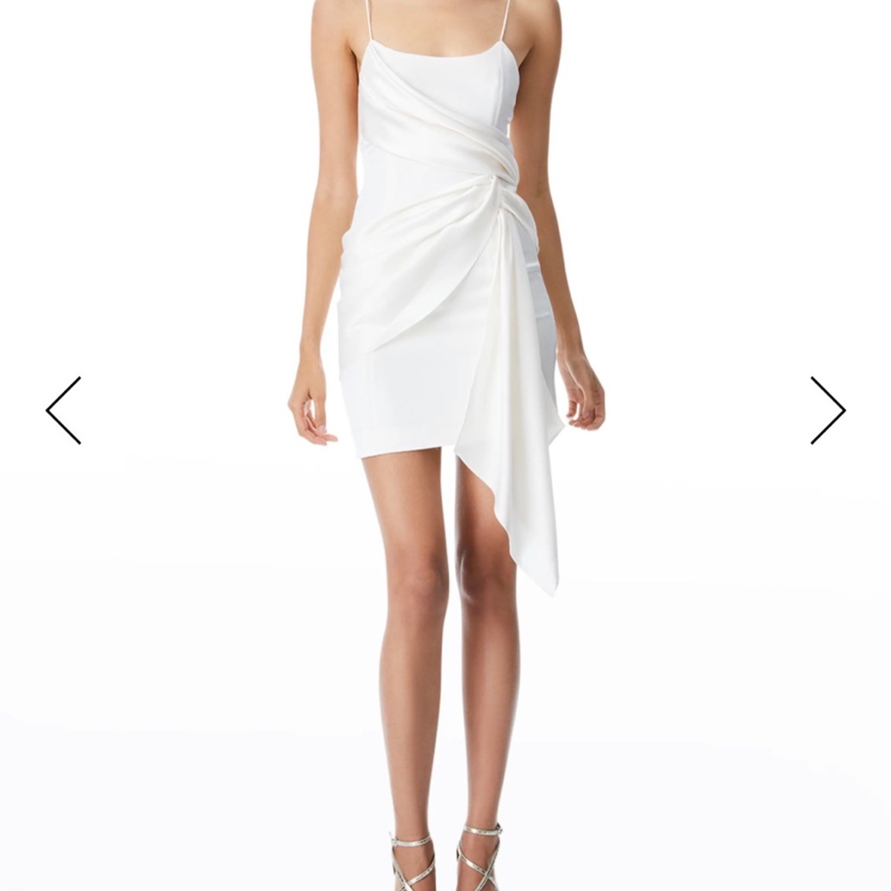 White Alice and Olivia Dress
